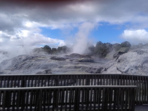 Rotorua Escape